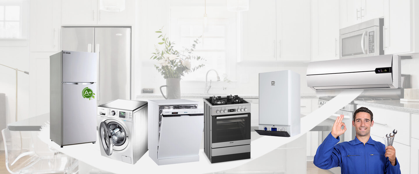 Altıeylül Smeg Servisi